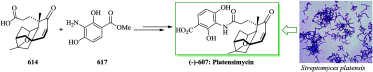 Scheme 132