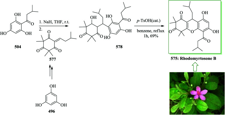 Scheme 123