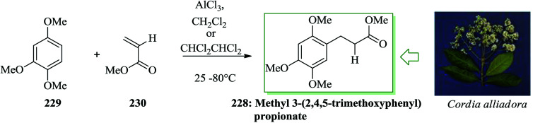 Scheme 48