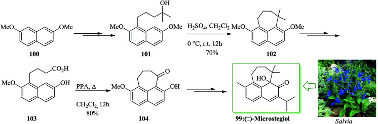 Scheme 20