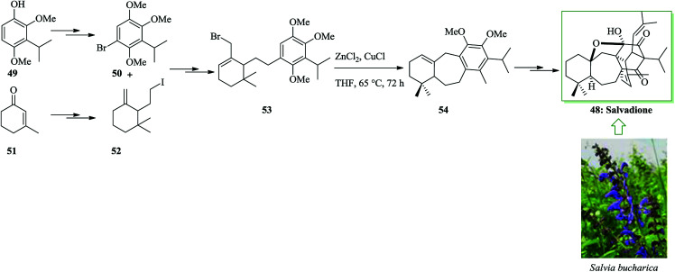 Scheme 9