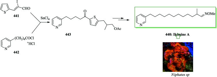 Scheme 93