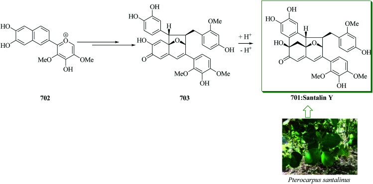 Scheme 151