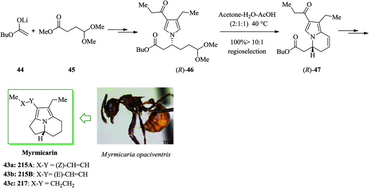 Scheme 8