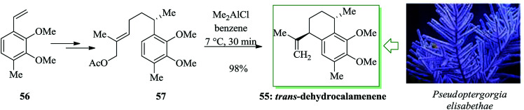 Scheme 10