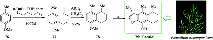 Scheme 14