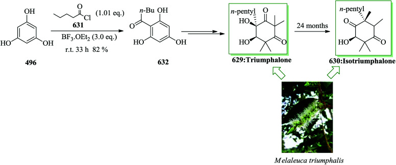 Scheme 136