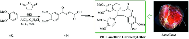 Scheme 105