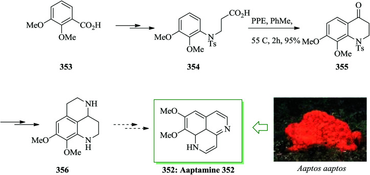 Scheme 73