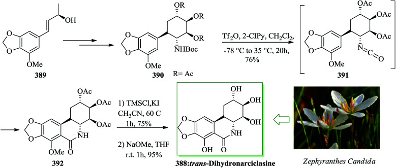 Scheme 82