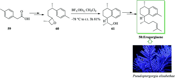 Scheme 11