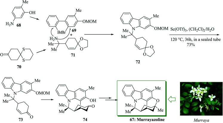 Scheme 13