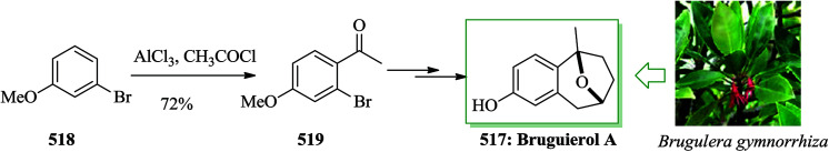 Scheme 111