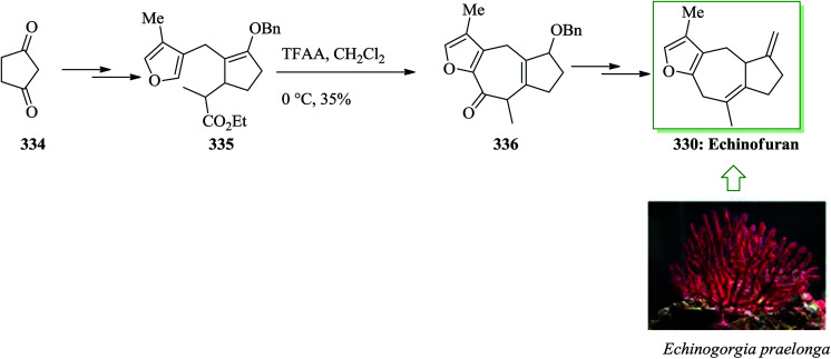 Scheme 68