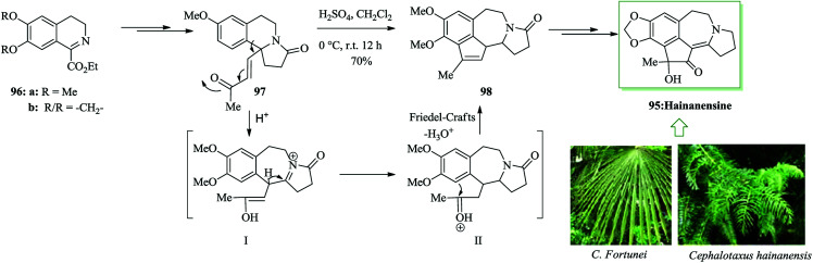 Scheme 19