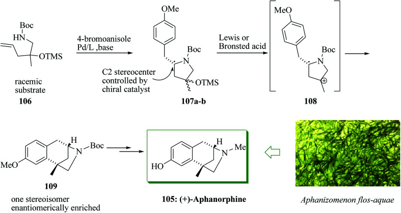 Scheme 21