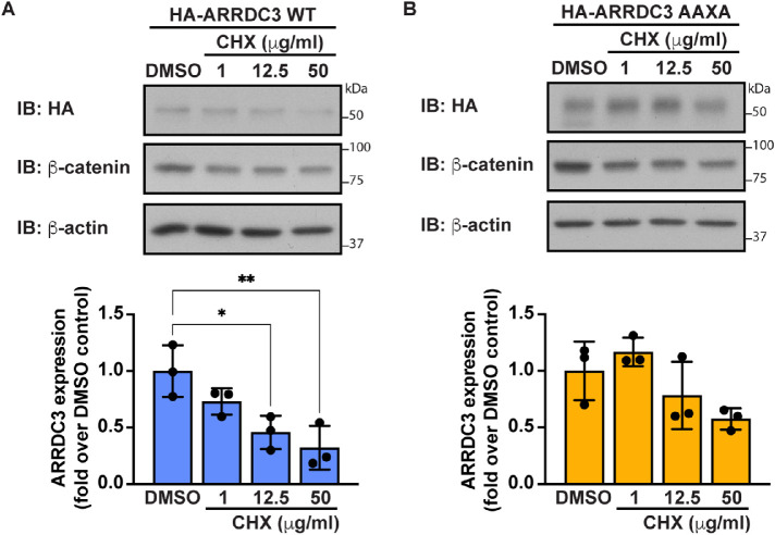 FIGURE 6: