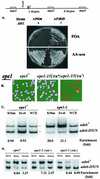 FIG. 8.