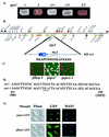 FIG. 3.