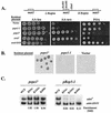 FIG. 6.