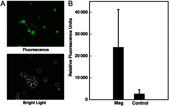 Figure 7.