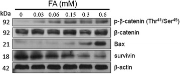 Fig. 7