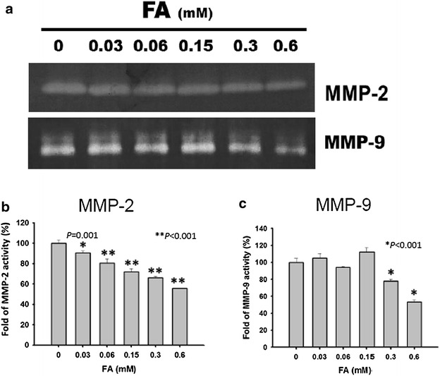 Fig. 10