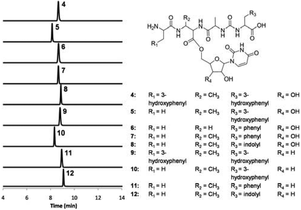 Figure 5