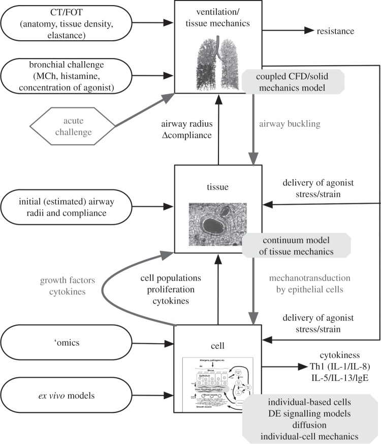 Figure 2.