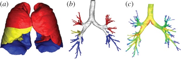 Figure 4.