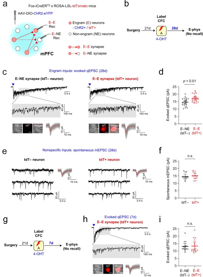 Extended Data Fig. 6