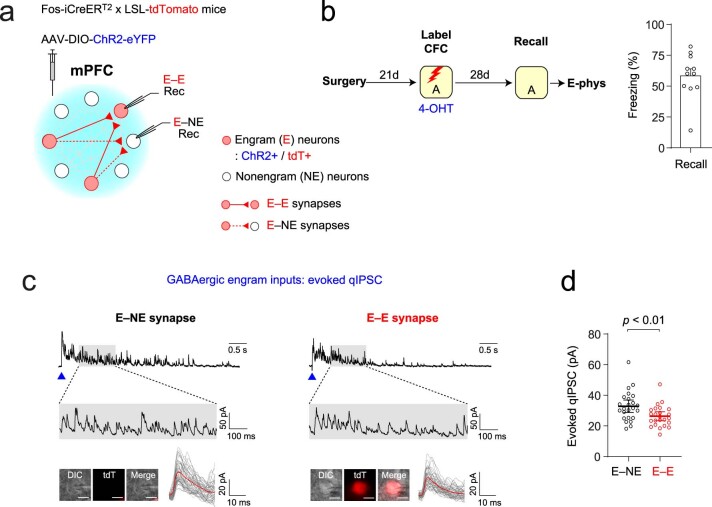 Extended Data Fig. 7