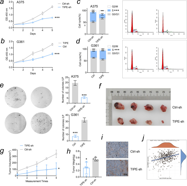 Figure 1—figure supplement 2.