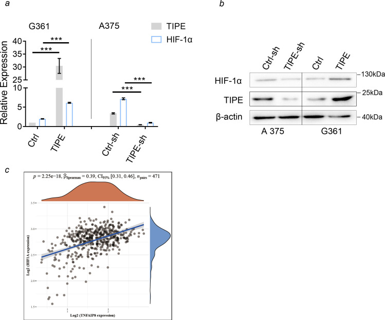 Figure 1—figure supplement 4.