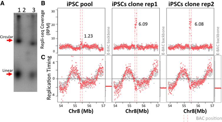 Figure 6.