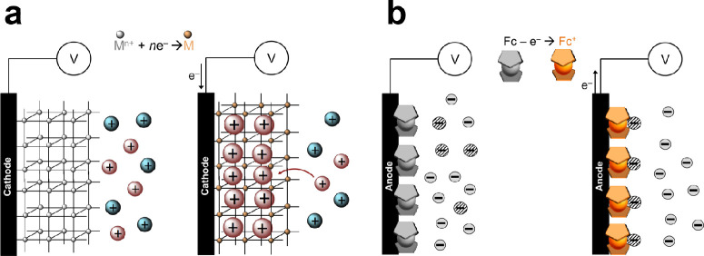 Figure 24