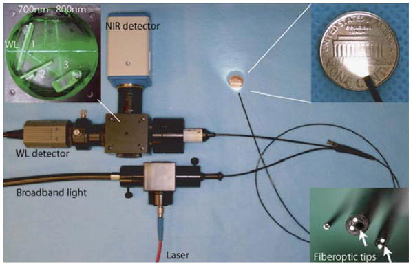 Fig. 1