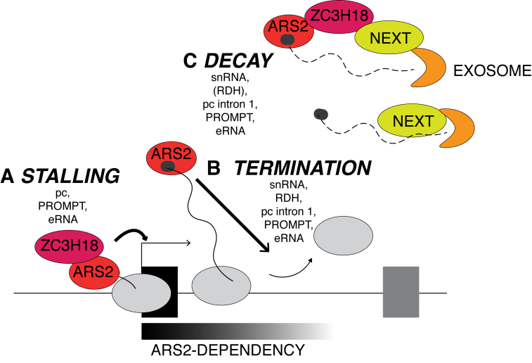 Figure 6.