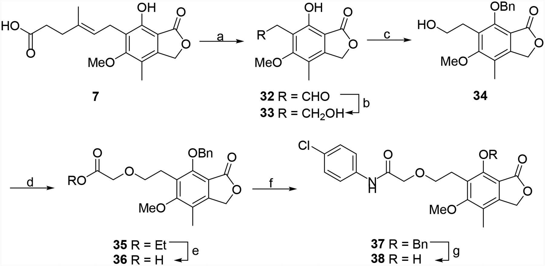 Scheme 5.