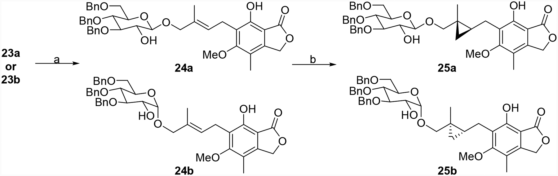 Scheme 3.