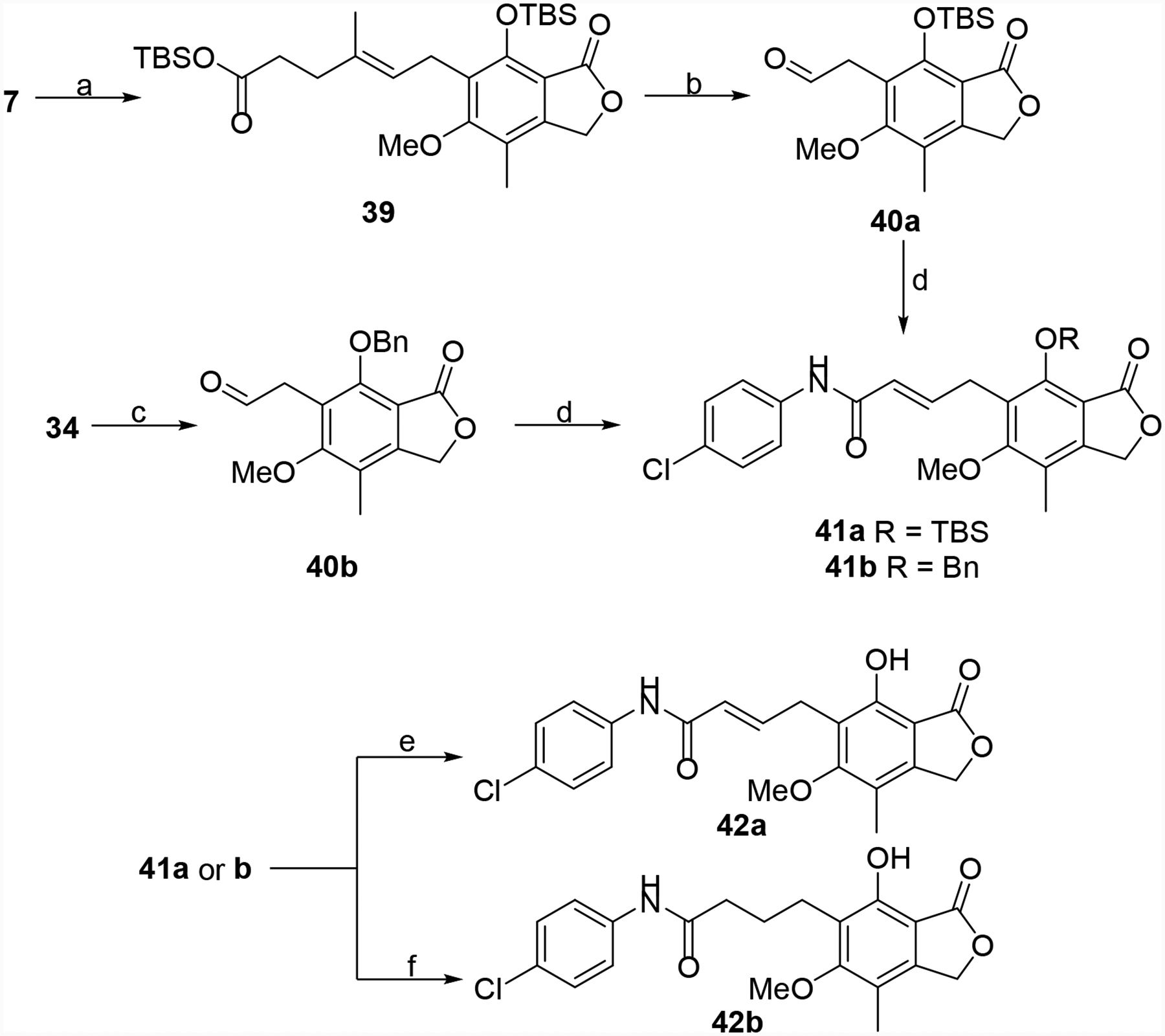 Scheme 6.