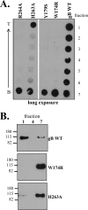 FIG. 6.