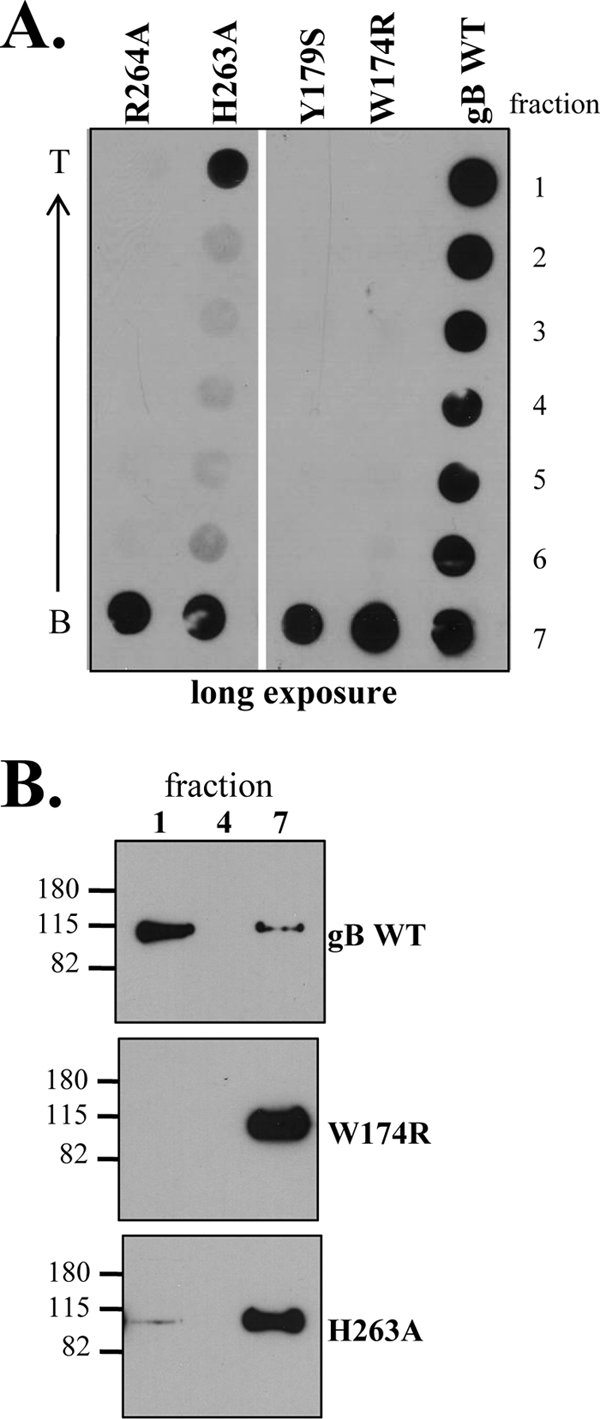 FIG. 6.