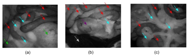 Fig. 7