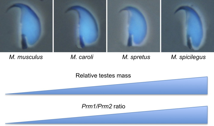 FIGURE 9.