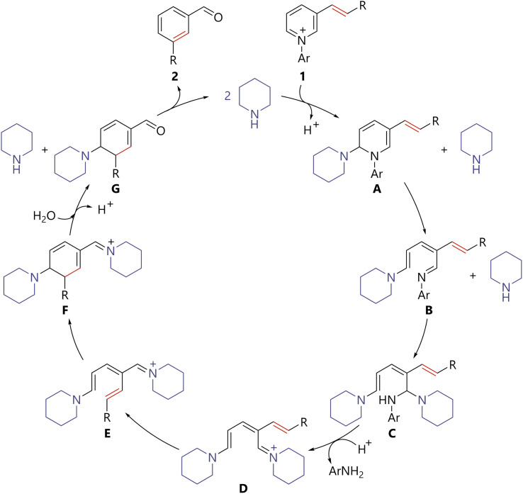 Scheme 5