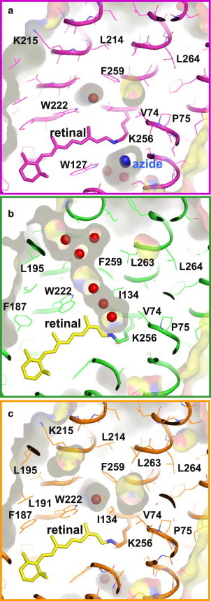 Figure 7