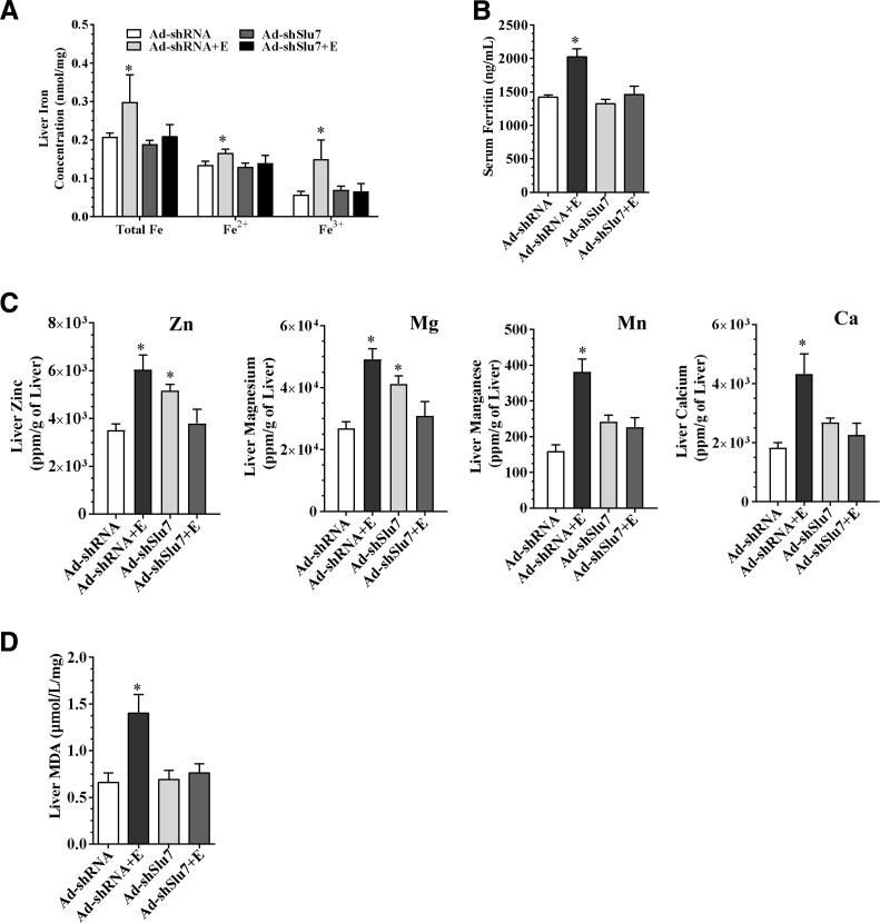 Figure 4