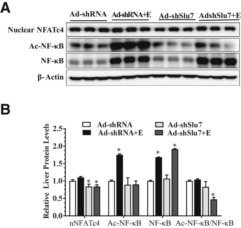 Figure 5