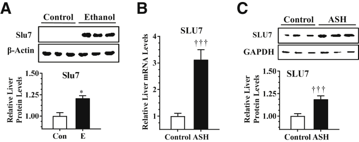 Figure 6